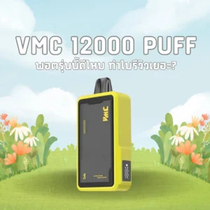 vmc 12000 puff